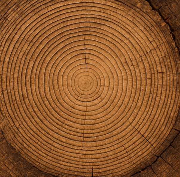 KI heute – Die Welt denkt&nbsp;um